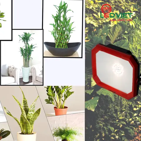 Trồng Cây Trong Nhà Bằng Đèn Led