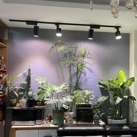 Trồng Cây Trong Nhà Bằng Đèn Led