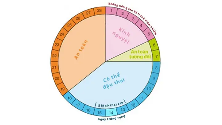 Trứng Có Rụng Trong Ngày Đèn Đỏ Không