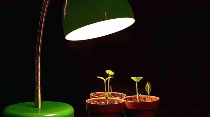 Tự Làm Đèn Led Trồng Cây