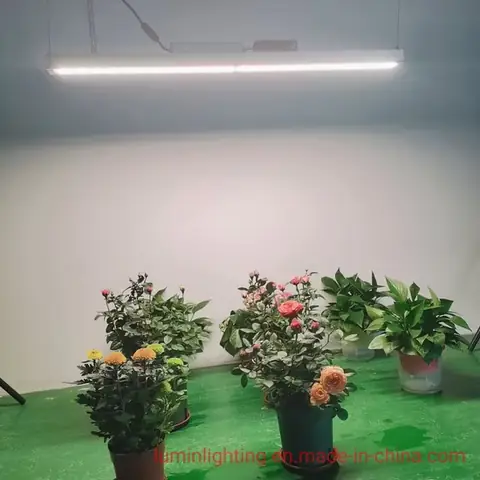 Tự Làm Đèn Led Trồng Cây