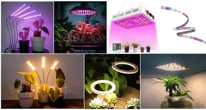 Tự Làm Đèn Led Trồng Cây