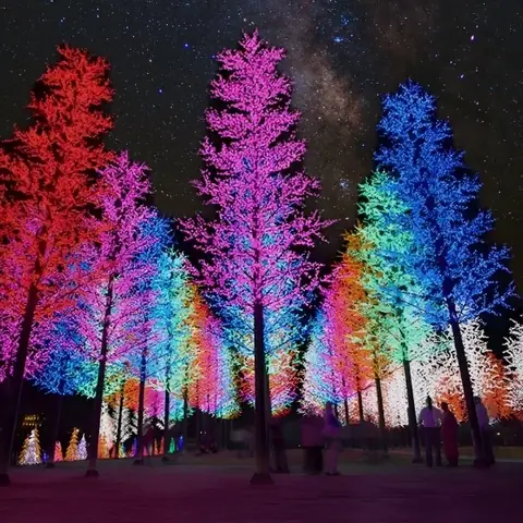 Vẽ Đèn Trang Trí Noel