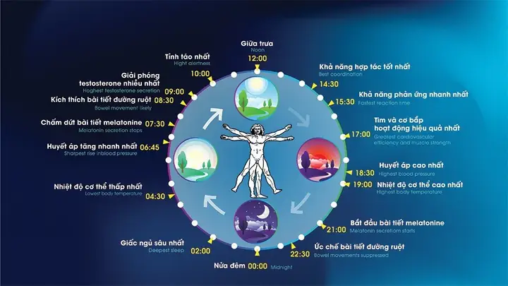 Vì Sao Bóng Đèn Sáng Ngay Khi Đóng Công Tắc