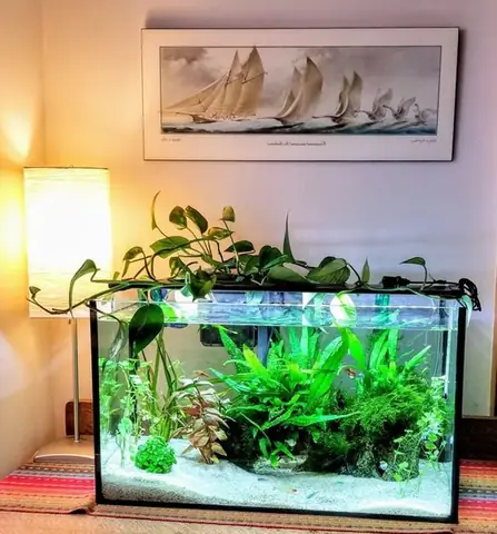 Bán Đèn Led Hồ Cá Tphcm