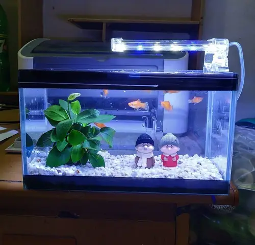 Bán Đèn Led Hồ Cá Tphcm