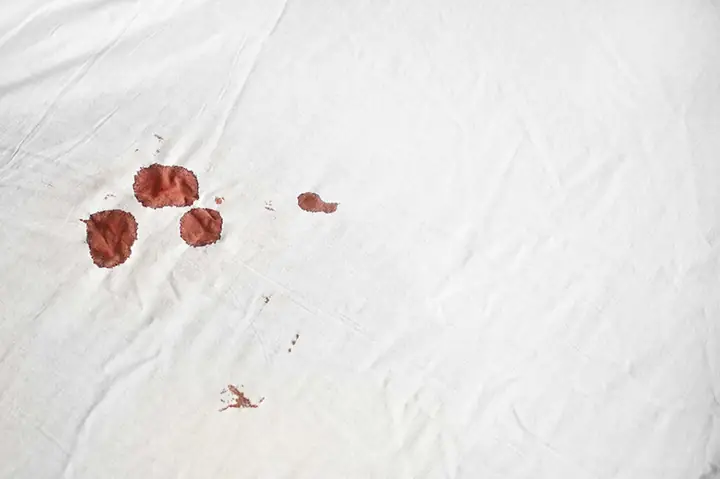 Băng Vệ Sinh Ngày Đèn Đỏ
