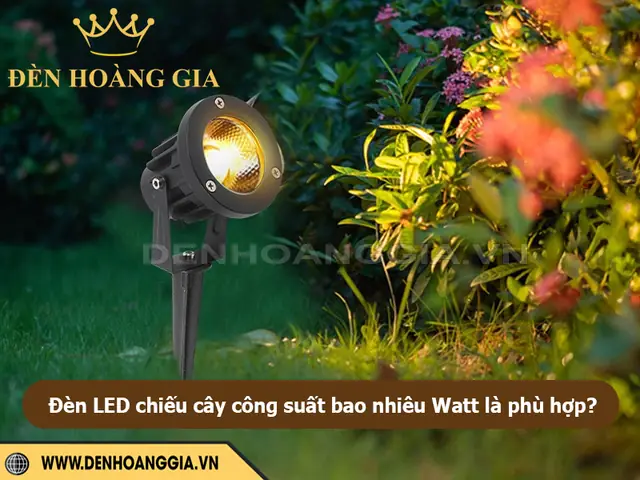 Bao Nhiêu Đèn Bao Nhiêu Hoa