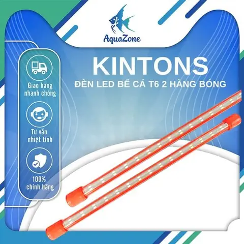 Bể Bóng Đèn Có Xui Không