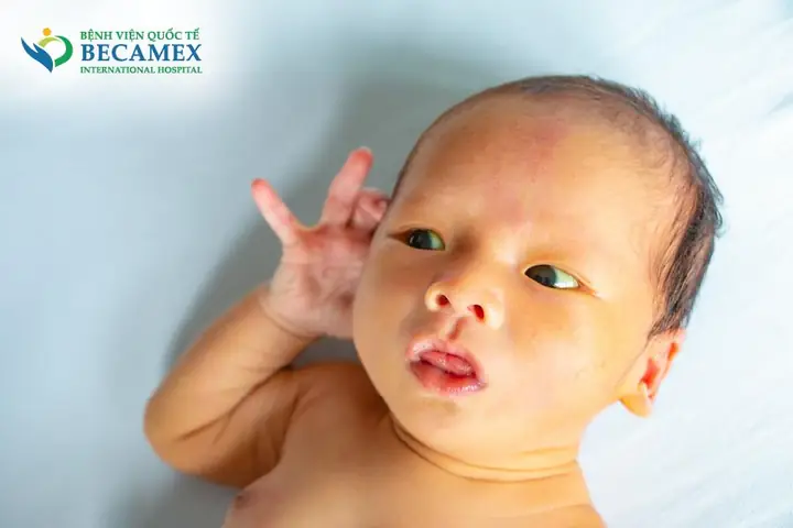 Biểu Đồ Chiếu Đèn Vàng Da