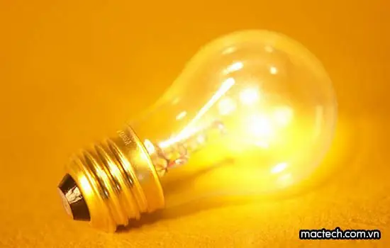 Bóng Đèn Cho Máy Ấp Trứng