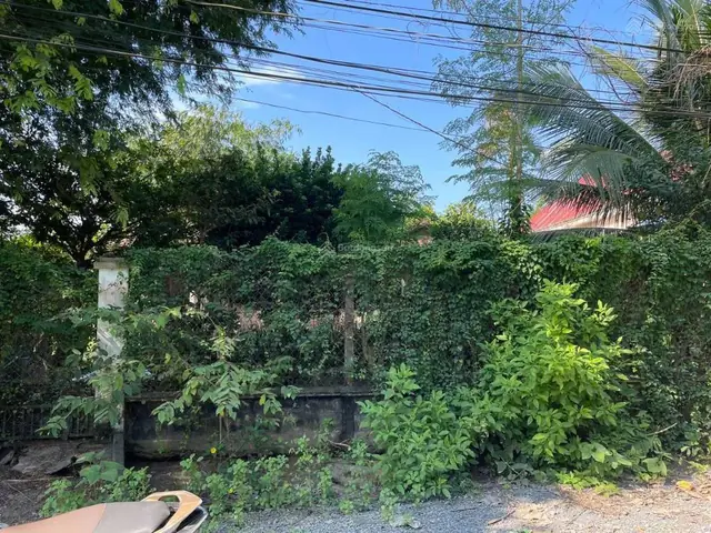Bóng Đèn Có Được Mang Lên Máy Bay
