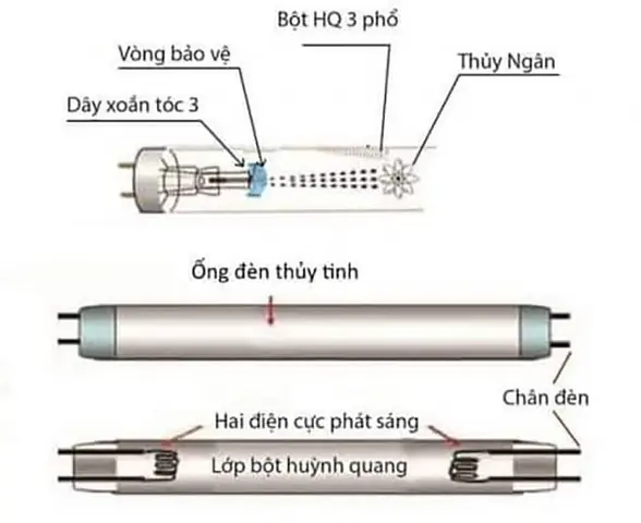 Bóng Đèn Dài Tiếng Anh Là Gì