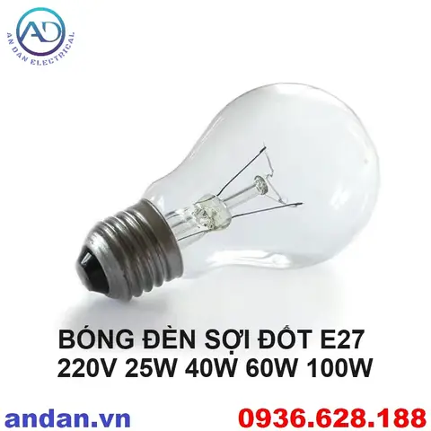 Bóng Đèn Dây Tóc 220v 100w