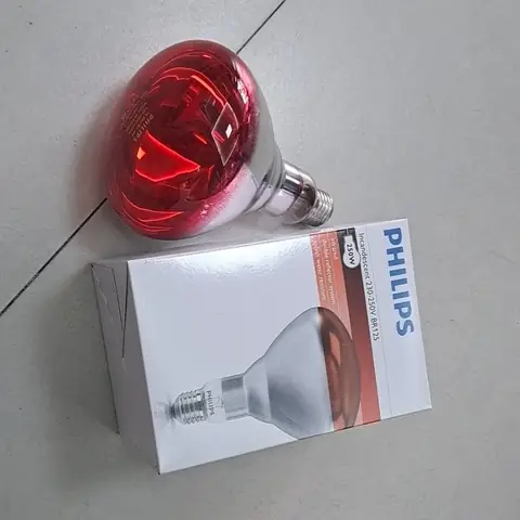 Bóng Đèn Hồng Ngoại 40w
