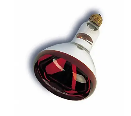 Bóng Đèn Hồng Ngoại 75w