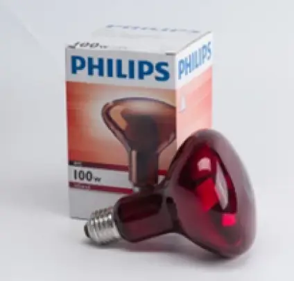 Bóng Đèn Hồng Ngoại Philips 100w