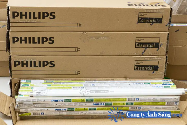 Bóng Đèn Huỳnh Quang 0.6 M Philips