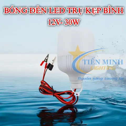 Bóng Đèn Led 12v 30w