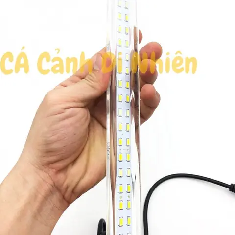 Bóng Đèn Led Cho Bể Cá