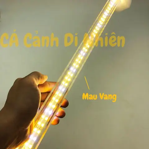 Bóng Đèn Led Cho Bể Cá