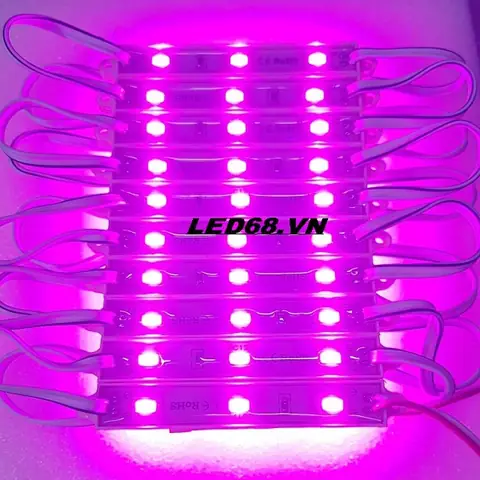 Bóng Đèn Led Màu Tím