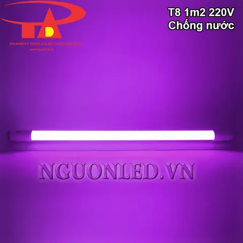Bóng Đèn Led Màu Tím