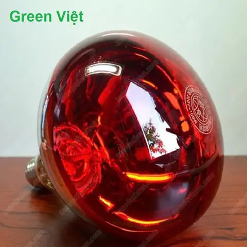 Bóng Đèn Led Úm Gà Con
