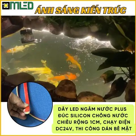 Bóng Đèn Ngâm Nước Tự Sáng