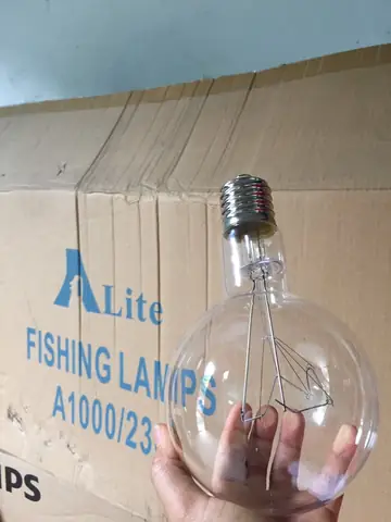Bóng Đèn Sợi Đốt 1000w