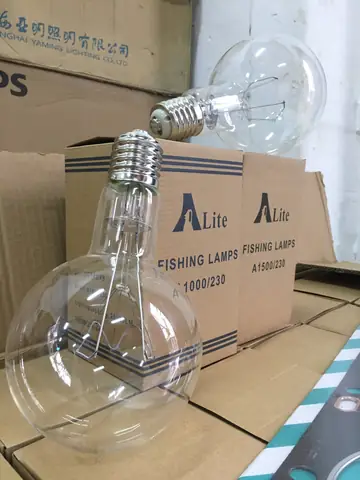 Bóng Đèn Sợi Đốt 1000w