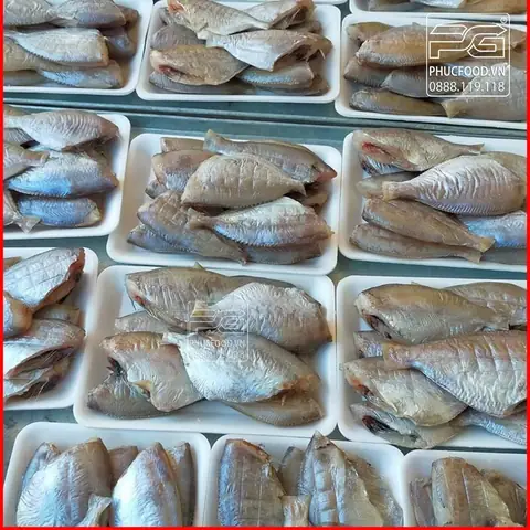 Cá Đội Đèn Hải Phòng