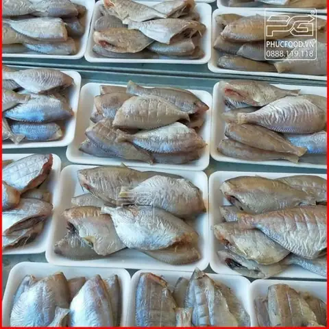 Cá Đội Đèn Hải Phòng