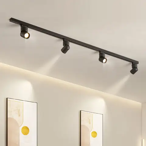 Các Loại Đèn Rọi Ray