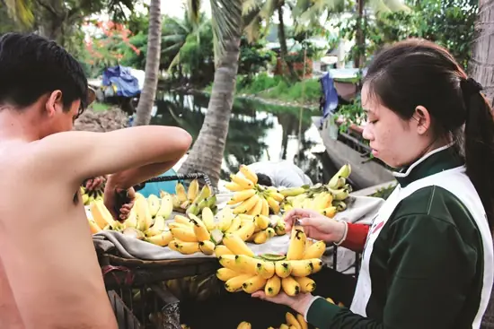 Cách Dấm Hồng Xiêm Bằng Đất Đèn