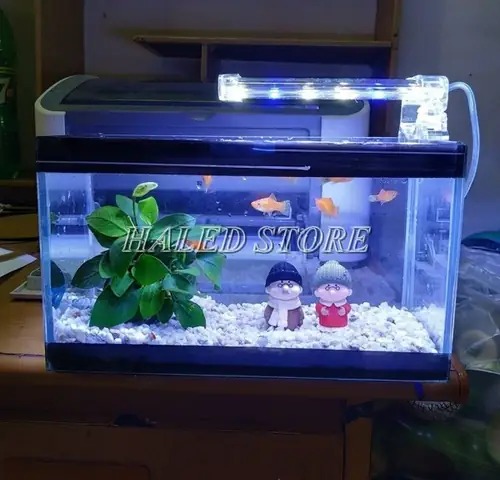 Cách Gắn Đèn Led Cho Hồ Cá