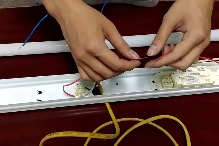 Cách Kiểm Tra Con Chuột Bóng Đèn