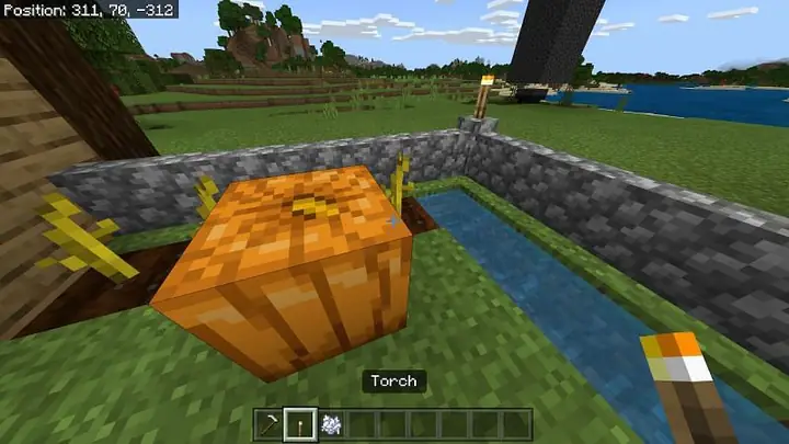 Cách Làm Đèn Bí Ngô Trong Minecraft