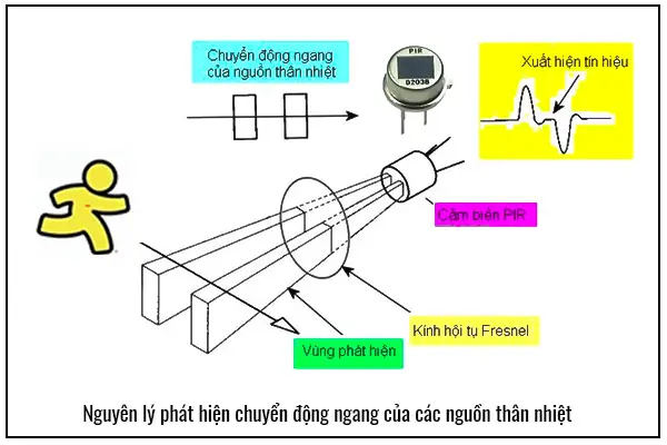 Cách Lắp Đặt Đèn Cảm Ứng