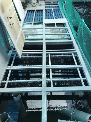 Cách Lắp Đặt Đèn Uv