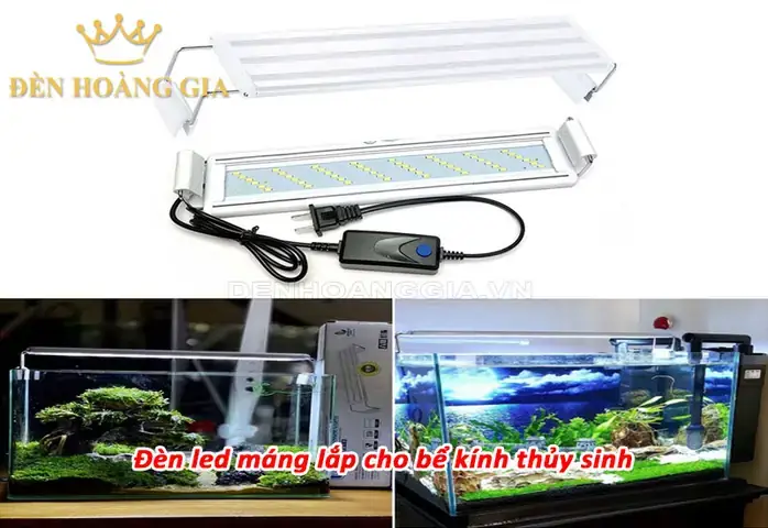 Cách Lắp Đèn Led Cho Bể Cá