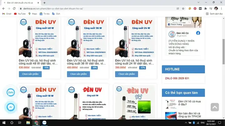 Cách Sử Dụng Đèn Uv Cho Bể Cá Rồng