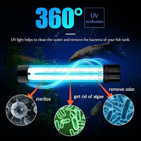 Cách Sử Dụng Đèn Uv Cho Bể Cá Rồng