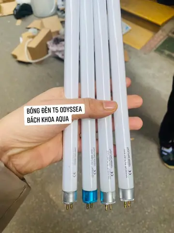 Cách Thay Bóng Đèn Odyssea