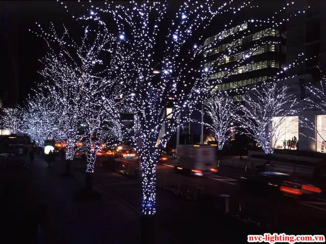 Cách Trang Trí Đèn Led Dây Trên Cây