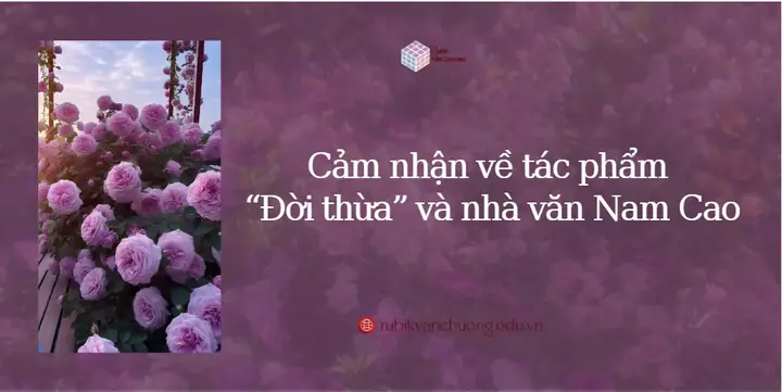 Cảm Nhận Về Tác Phẩm Tắt Đèn