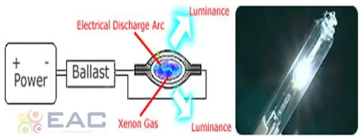 Cấu Tạo Đèn Bi Xenon