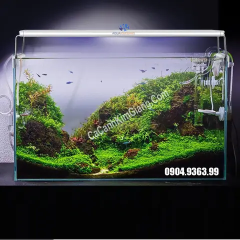 Chế Đèn Led Bể Cá