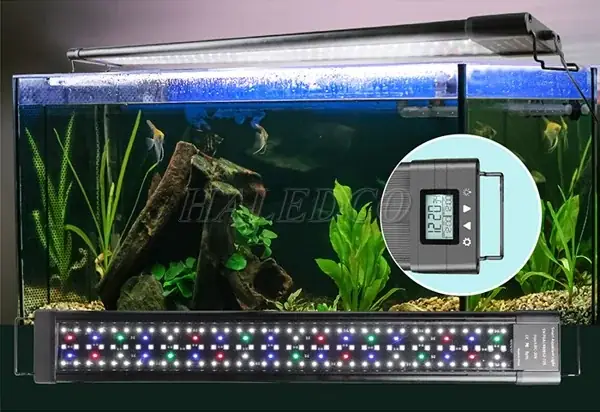 Chế Đèn Led Thủy Sinh