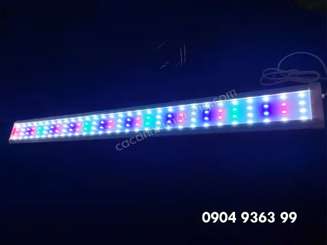 Chế Đèn Led Thủy Sinh